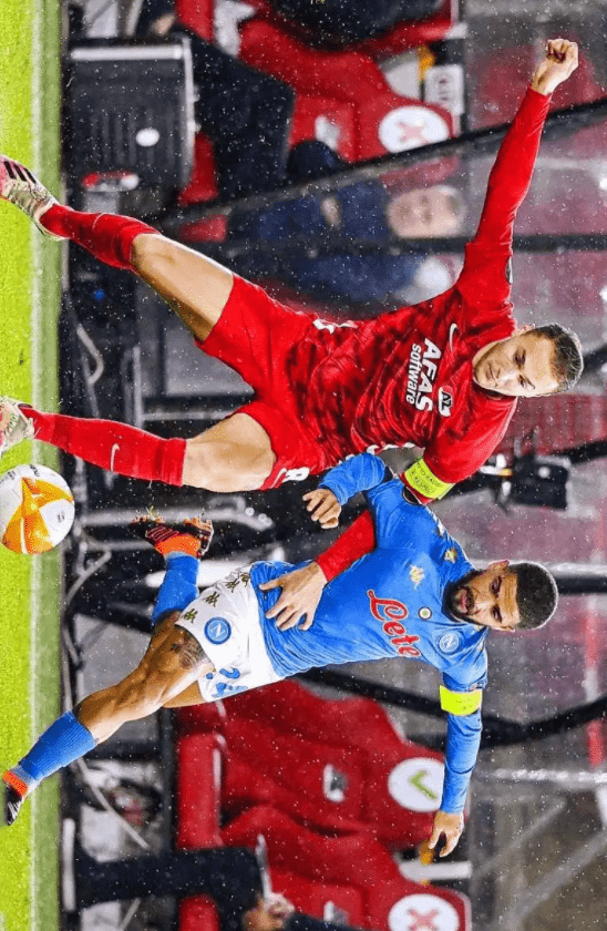 塔图姆的全 塔图姆的全