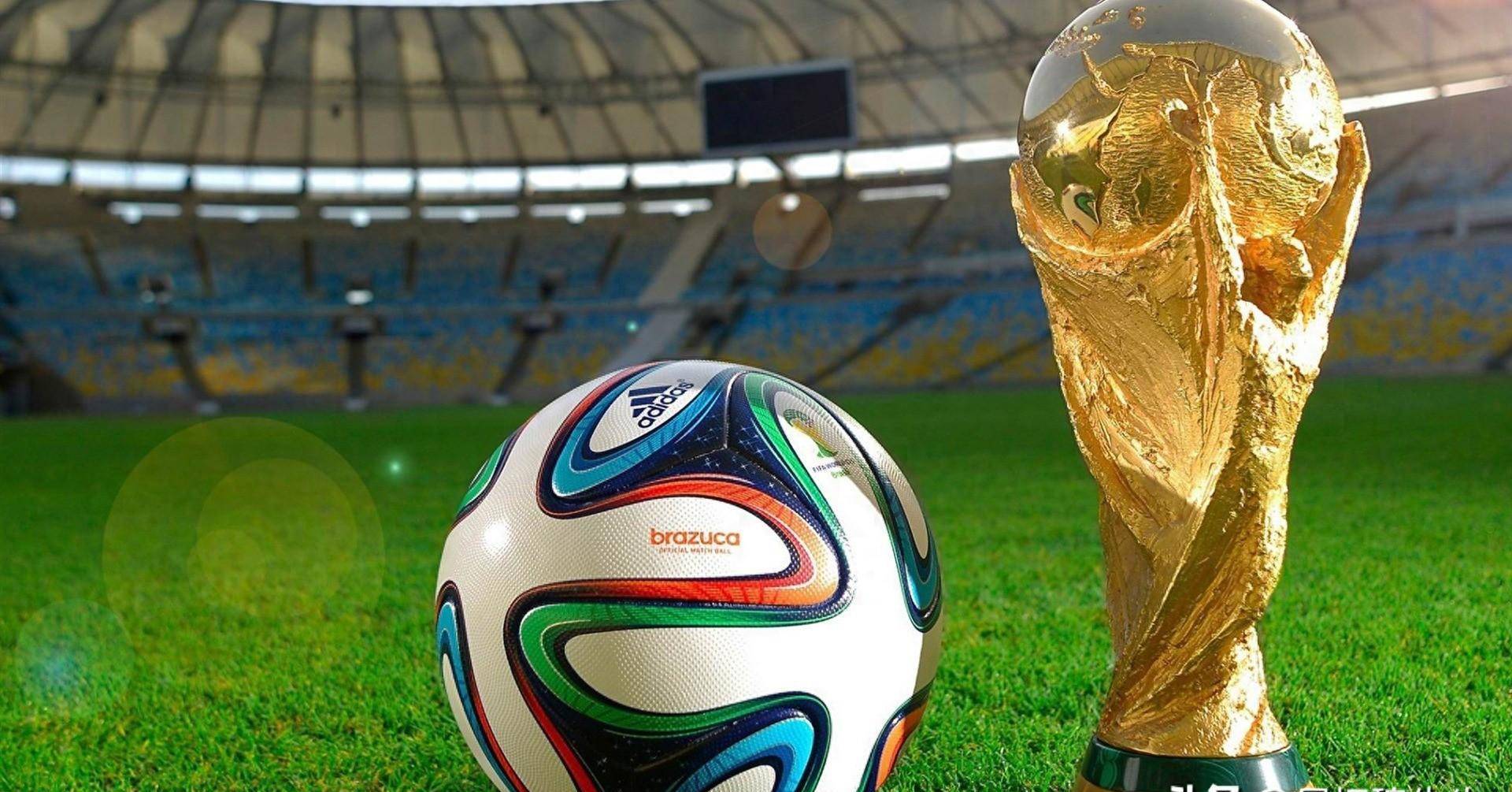 球队须接受 球队须接受